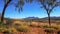 Mount sonder in the west macdonnell ranges near alice springs framed by trees