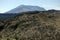 Mount St. Helens Blast Zone