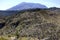 Mount St. Helens Blast Zone