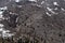Mount St. Helens blast zone