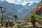 Mount Stanley in the Rwenzori Mountains, Uganda