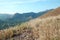 Mount Tapyas mountain, trees, and grass view