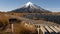 Mount Taranaki with boardwalk and lagoon. Egmont National Park, New Zealand