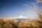 Mount Taranaki, the Fuji of New Zealand