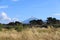 Mount Taranaki in New Zealand.
