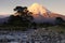 Mount Taranaki at sunrise, Taranaki, New Zealand