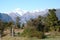 Mount Tasman and Cook