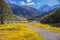 Mount Tasman Valleys , Aoraki Mt Cook national park Southern Alp