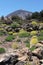 Mount Teide