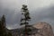 Mount Watkins Under Heavy Storm Clouds Behind a Single Tree