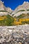 Mount Wilson Banff National Park