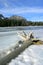 Mount Yamnuska and the Bow River