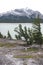 Mountain Abraham lake banff national park canada
