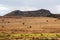 Mountain on the African savannah