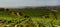 Mountain Agriculture near Jerusalem