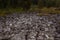 Mountain alpine landscape with rocks and moss