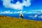 Mountain alpine pastures in the Slovenian. Sheep in the mountains.