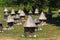 Mountain apiary in Abkhazia