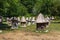 Mountain apiary in Abkhazia