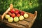 Mountain of apples standing on the wooden box in green grass in the garden. Summer color image. Circle bright bokeh. Five red