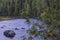 mountain ash on the background of the stormy river Janisjoki in autumn Karelia