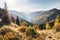 Mountain autumn landscape with colorful forest,  Ukraine, Carpathians