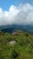 Mountain balds in summer