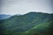 Mountain Bamboo forest Asia