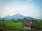 Mountain & beautifull rice field