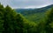 Mountain behind the forested hill