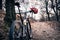 Mountain bike and helmet in autumn woods