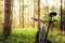 Mountain bike MTB on green summer forest trail