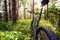 Mountain bike MTB on green summer forest trail, inspirational la