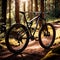 Mountain bike, off road bicycle sports extreme adventure hobby recreation in the outdoors