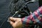 Mountain bike repair in the workshop. Mechanic\\\'s hand and rear derailleur close-up. Gearshift settings