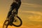 Mountain bike rider stunt