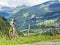 Mountain bike in summer Alps landscape