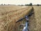 Mountain bike in wheat field