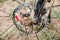 Mountain bike wheel covered with mud