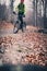 Mountain biker on cycle trail in woods