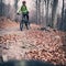 Mountain biker cycling on trail in woods