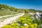 Mountain biker driving in Istria to mountain Sisol, Ucka Park