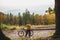 Mountain biker looking at inspiring forest landscape