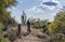 Mountain Biker on Lush Desert Trail In Arizona