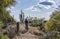 Mountain Biker on A Lush Desert Trail In Arizona