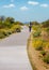 Mountain Biker on Paved Path in Scottsdale Arizona