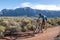 Mountain biker racing down a jeep track