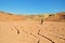 Mountain biker riding bike in cracked land of dry desert