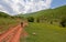 Mountain biker riding the bike in road among green meadows