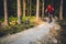 Mountain biker riding cycling in inspiring summer forest